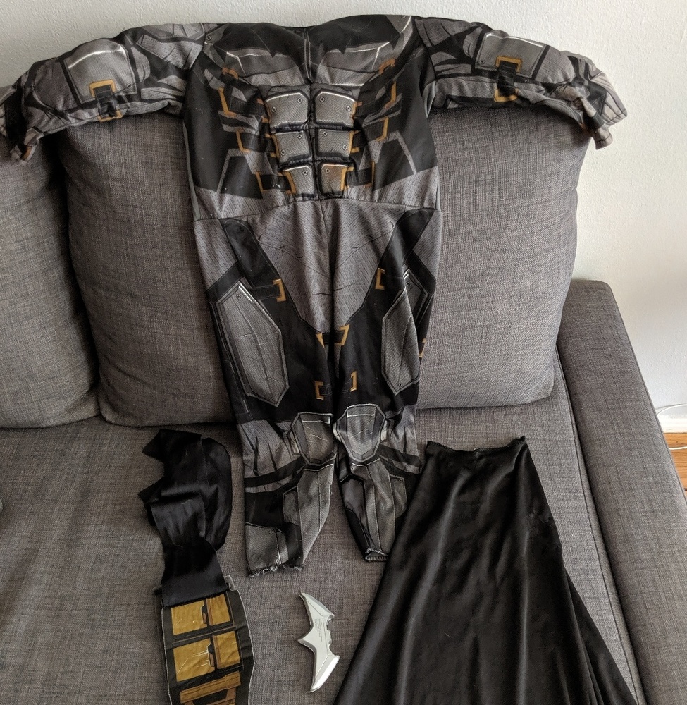 Justice League Batman Costume